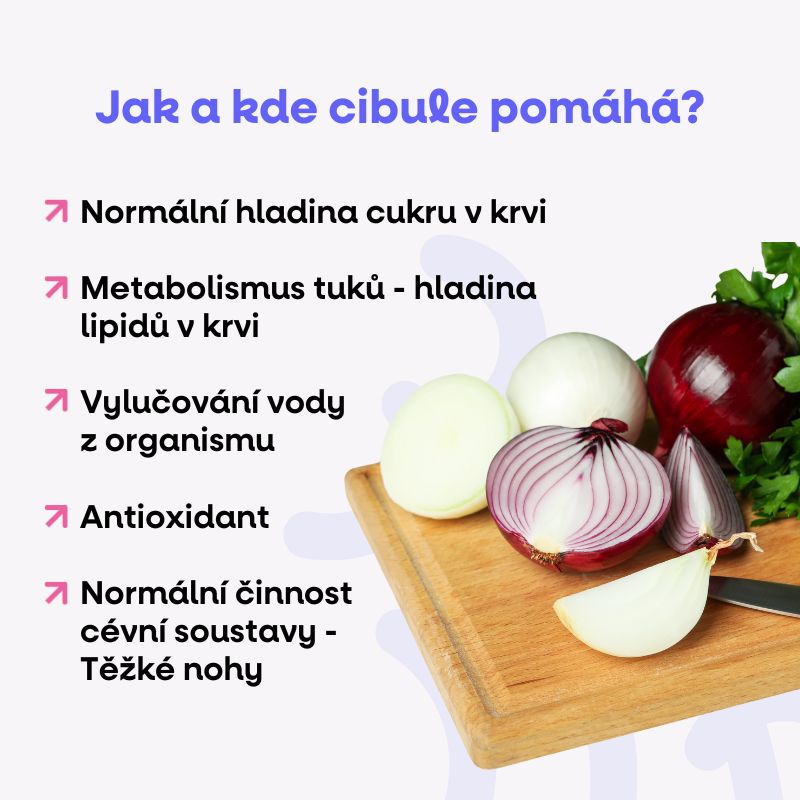 Cibule a česnek - přírodní antibiotikum